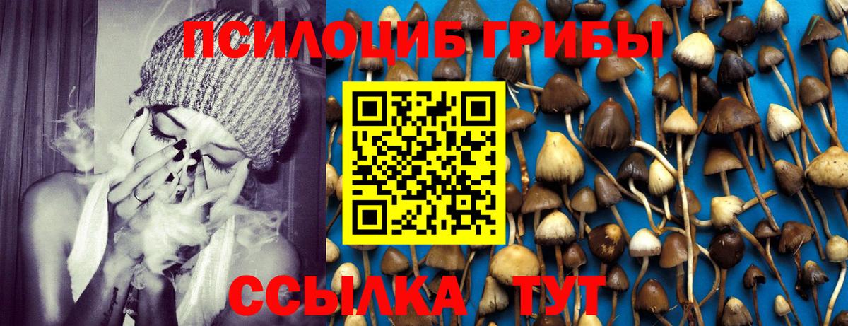 где купить наркоту  Вход с VPN  Псилоцибиновые грибы Psilocybine cubensis  Новый Уренгой  Галлюциногенные грибы мухоморы 